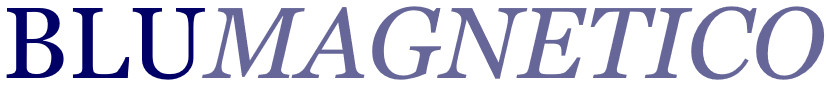 blumagnetico.com